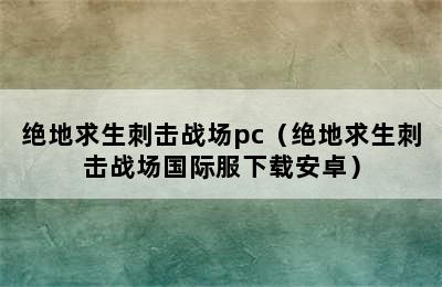 绝地求生刺击战场pc（绝地求生刺击战场国际服下载安卓）