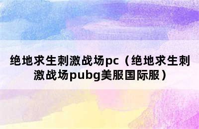 绝地求生刺激战场pc（绝地求生刺激战场pubg美服国际服）