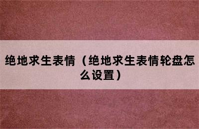 绝地求生表情（绝地求生表情轮盘怎么设置）