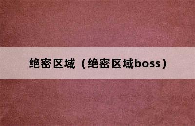 绝密区域（绝密区域boss）