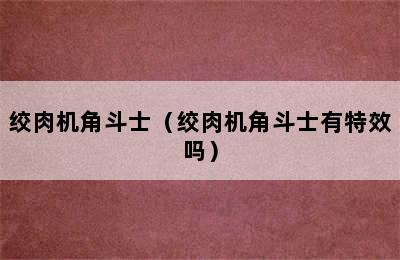 绞肉机角斗士（绞肉机角斗士有特效吗）