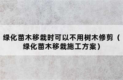 绿化苗木移栽时可以不用树木修剪（绿化苗木移栽施工方案）