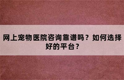 网上宠物医院咨询靠谱吗？如何选择好的平台？