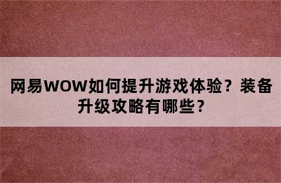 网易WOW如何提升游戏体验？装备升级攻略有哪些？