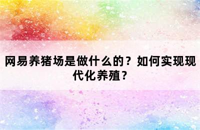 网易养猪场是做什么的？如何实现现代化养殖？