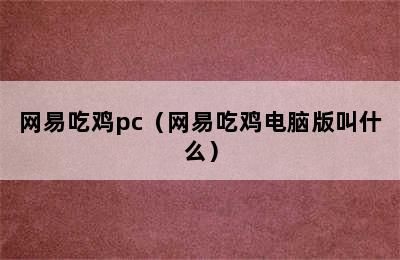 网易吃鸡pc（网易吃鸡电脑版叫什么）