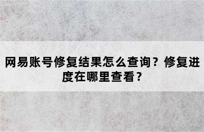 网易账号修复结果怎么查询？修复进度在哪里查看？