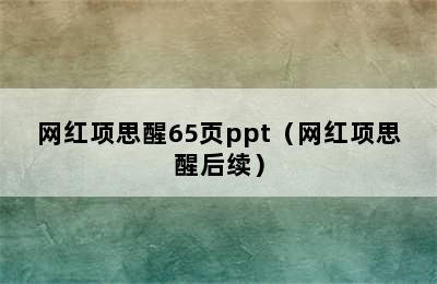 网红项思醒65页ppt（网红项思醒后续）