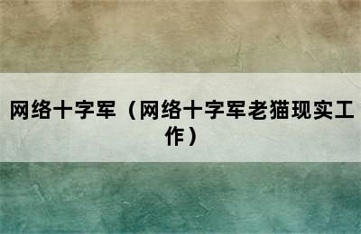 网络十字军（网络十字军老猫现实工作）