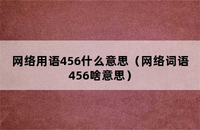 网络用语456什么意思（网络词语456啥意思）