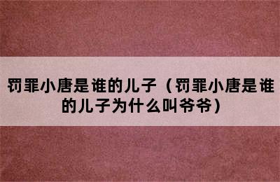 罚罪小唐是谁的儿子（罚罪小唐是谁的儿子为什么叫爷爷）