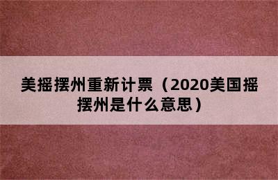 美摇摆州重新计票（2020美国摇摆州是什么意思）