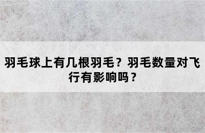 羽毛球上有几根羽毛？羽毛数量对飞行有影响吗？