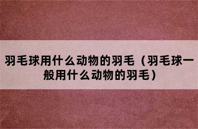 羽毛球用什么动物的羽毛（羽毛球一般用什么动物的羽毛）