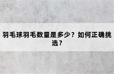 羽毛球羽毛数量是多少？如何正确挑选？