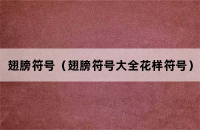 翅膀符号（翅膀符号大全花样符号）