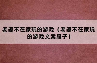 老婆不在家玩的游戏（老婆不在家玩的游戏文案段子）