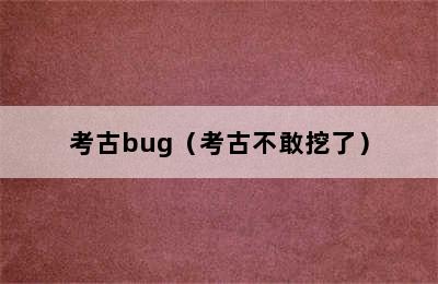 考古bug（考古不敢挖了）