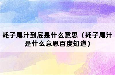 耗子尾汁到底是什么意思（耗子尾汁是什么意思百度知道）