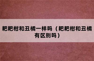 耙耙柑和丑橘一样吗（耙耙柑和丑橘有区别吗）