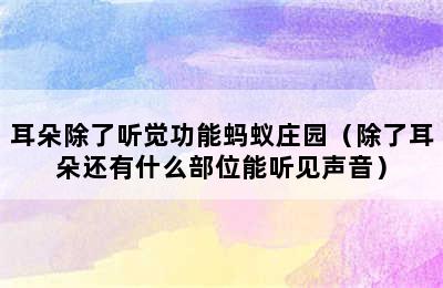 耳朵除了听觉功能蚂蚁庄园（除了耳朵还有什么部位能听见声音）