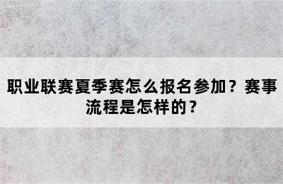 职业联赛夏季赛怎么报名参加？赛事流程是怎样的？