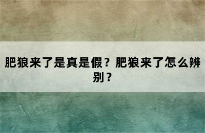 肥狼来了是真是假？肥狼来了怎么辨别？