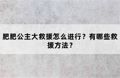 肥肥公主大救援怎么进行？有哪些救援方法？