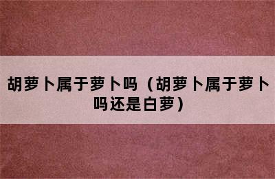 胡萝卜属于萝卜吗（胡萝卜属于萝卜吗还是白萝）