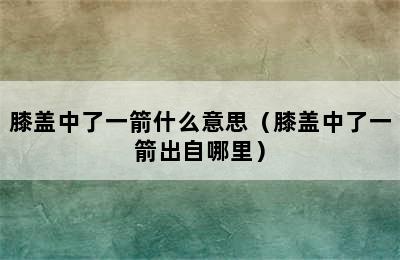 膝盖中了一箭什么意思（膝盖中了一箭出自哪里）