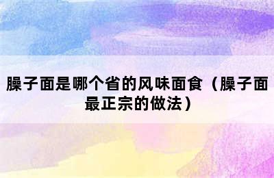 臊子面是哪个省的风味面食（臊子面最正宗的做法）