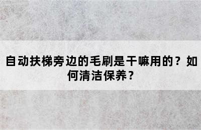 自动扶梯旁边的毛刷是干嘛用的？如何清洁保养？