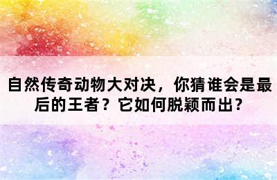 自然传奇动物大对决，你猜谁会是最后的王者？它如何脱颖而出？