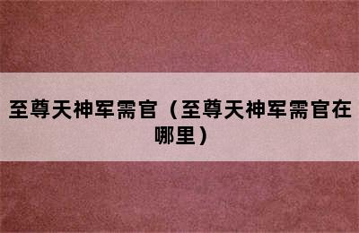 至尊天神军需官（至尊天神军需官在哪里）