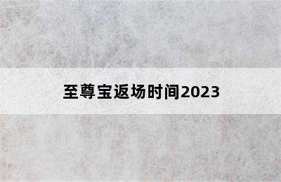 至尊宝返场时间2023