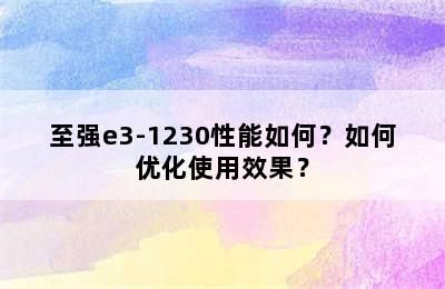 至强e3-1230性能如何？如何优化使用效果？