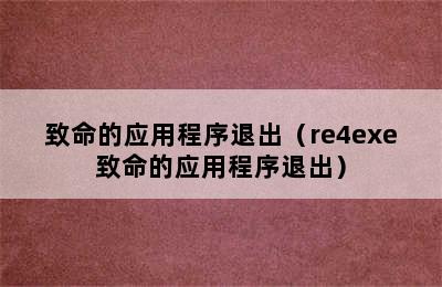 致命的应用程序退出（re4exe致命的应用程序退出）