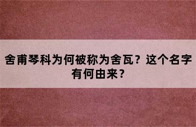 舍甫琴科为何被称为舍瓦？这个名字有何由来？