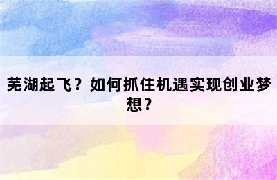 芜湖起飞？如何抓住机遇实现创业梦想？