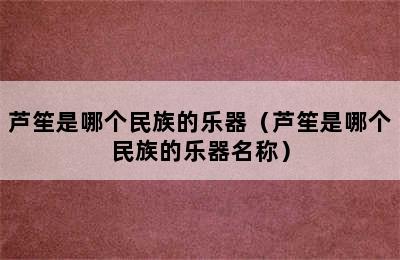 芦笙是哪个民族的乐器（芦笙是哪个民族的乐器名称）