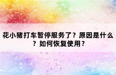 花小猪打车暂停服务了？原因是什么？如何恢复使用？