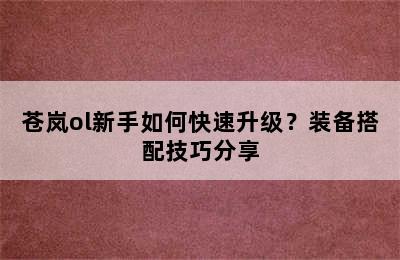 苍岚ol新手如何快速升级？装备搭配技巧分享