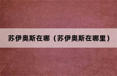 苏伊奥斯在哪（苏伊奥斯在哪里）