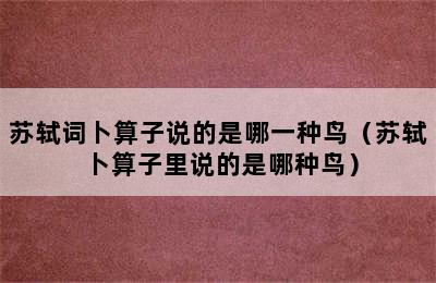 苏轼词卜算子说的是哪一种鸟（苏轼卜算子里说的是哪种鸟）