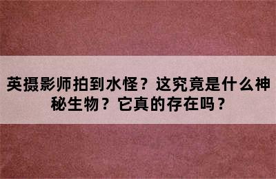 英摄影师拍到水怪？这究竟是什么神秘生物？它真的存在吗？