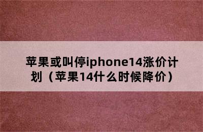 苹果或叫停iphone14涨价计划（苹果14什么时候降价）