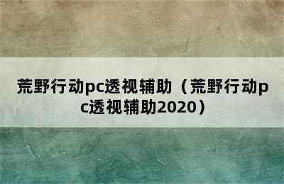 荒野行动pc透视辅助（荒野行动pc透视辅助2020）