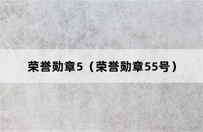 荣誉勋章5（荣誉勋章55号）