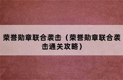 荣誉勋章联合袭击（荣誉勋章联合袭击通关攻略）