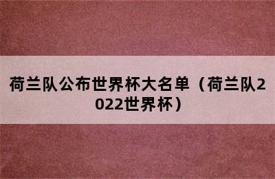 荷兰队公布世界杯大名单（荷兰队2022世界杯）